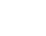 The Naked Brow Online Masterclass  logo