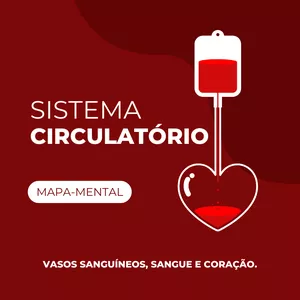 Imagem de capa para o Ebook Sistema Circulatório | Mapa-mental