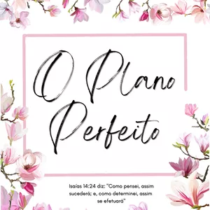 Imagem de capa para o Ebook O Plano Perfeito 