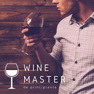 Imagen de portada para Curso online WINE MASTER: de principiante a catador