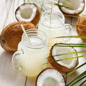 Imagem de capa para o Ebook “O Poder do Coco: Usos, Benefícios e Receitas para Saúde e Bem-estar”*