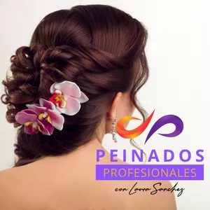 Imagen de portada para Curso online Peinados Profesionales con Laura Sanchez