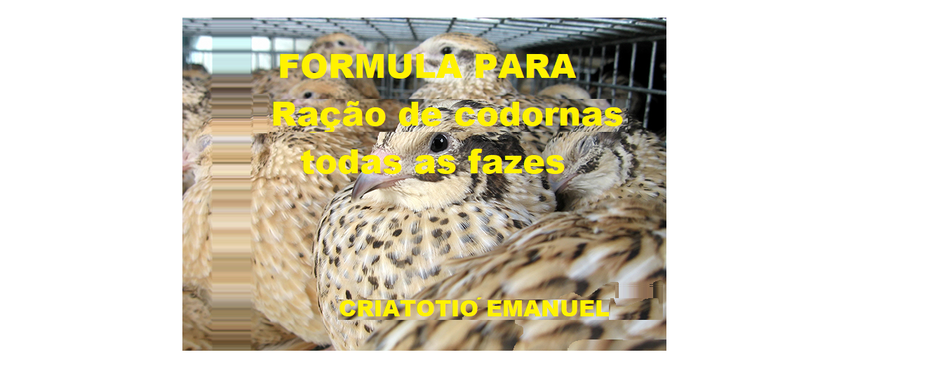 Fabrique sua ração para CODORNAS Calculando os custos exatos! por Criatório Emanuel