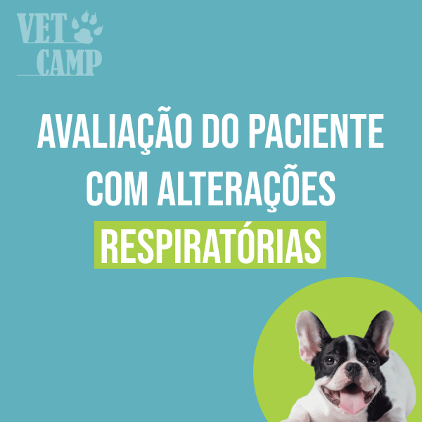 Imagem do curso Avaliação do Paciente com Alterações Respiratórias