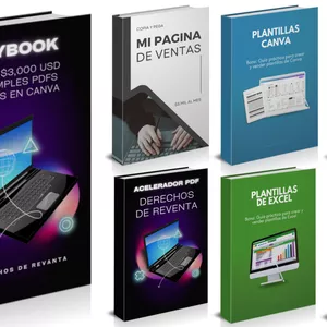 Imagen de portada para Curso online Acelerador PDF