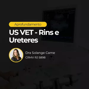 Imagem de capa para o Curso online US VET – Aprofundamento em Rins e Ureteres