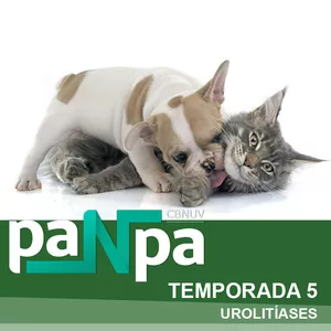 Curso PaNpa Temporada 5 - Urolitíases