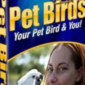 Imagem de capa para o Ebook Pet birds 