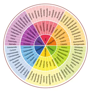 Imagen de portada para Curso online Circulo cromatico de las emociones