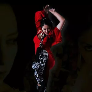 Imagen de portada para Curso online Curso Baile Flamenco BAILAORA