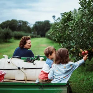 Imagen de portada para Curso online Mork Star 