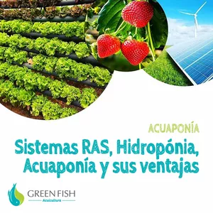 Imagen de portada para Curso online Acuaponía: Sistemas RAS, Hidroponía, Acuaponía y sus ventajas