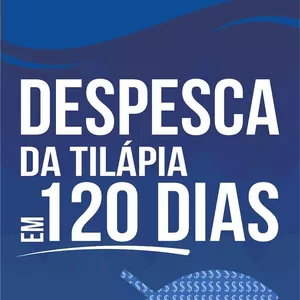 Imagem de capa para o Ebook DESPESCA EM 120 DIAS