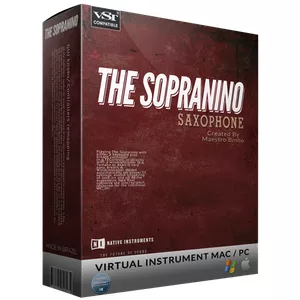 Cover image for Online course The Sopranino