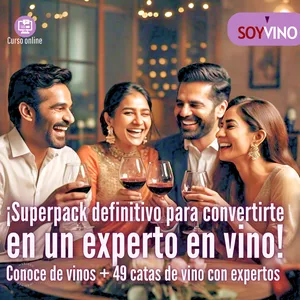 Imagen de portada para Curso online Programa integral de cata de vino