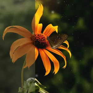 Imagem de capa para o Curso online Curso de edição Robério Júnior Photography
