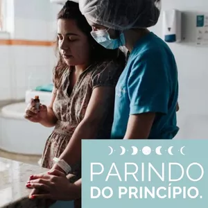 Imagem de capa para o Curso online Parindo do Princípio.