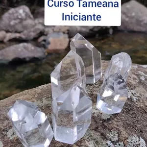 Imagem de capa para o Curso online Curso Tameana nível iniciante 