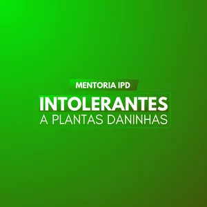 Imagem de capa para o Curso online MENTORIA IPD