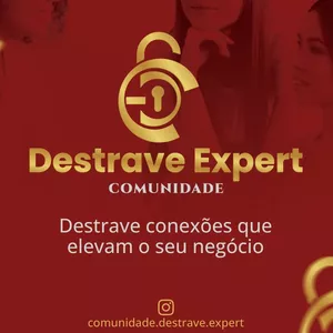 Imagem de capa para o Curso online PLATAFORMA ONLINE CDE - Comunidade Destrave Expert 
