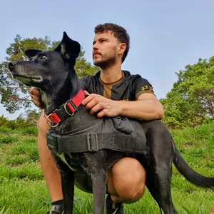 Imagem de capa para o Serviço online Mentoria Cãomunidade | Adestramento Positivo e Bem-Estar Canino