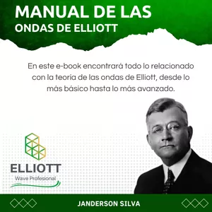 Imagen de portada para Ebook Manual de las Ondas de Elliott