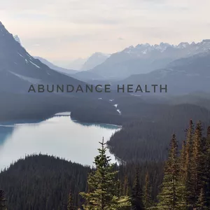 Cover image for Ebook Abundance Health