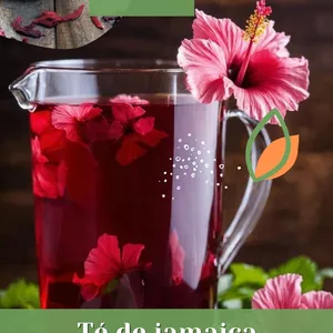 Imagen de portada para Ebook Como perder peso con té de jamaica