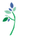 Academia ICM