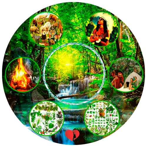 Imagem de Curso de Mesa Radiônica da Mata criado por Aconchego d'Alma na hotmart