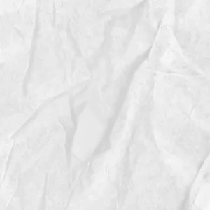 Imagem de capa para o Curso online SEMINÁRIO  HO’OPONOPONO FLORESCER