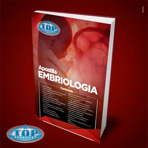 Imagem de capa para o Ebook Ebook Embriologia
