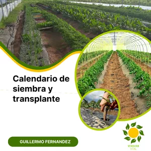 Imagen de portada para Curso online Calendario de siembra y transplante