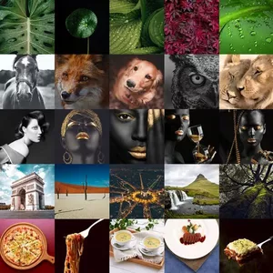 Imagem de capa para o Curso online IMAGENS PARA QUADROS E PUBLICIDADE