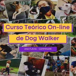 Imagem de capa para o Curso online CURSO PROFISSIONALIZANTE DE DOG WALKER