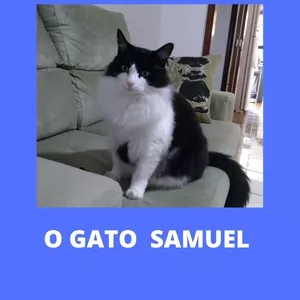 Imagem de capa para o Ebook O GATO SAMUEL