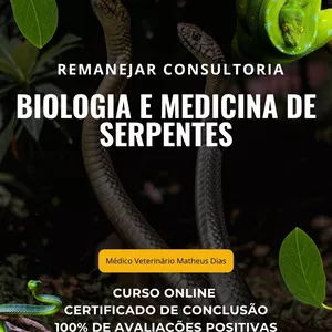 Imagem de capa para o Curso online Biologia e Medicina de Serpentes