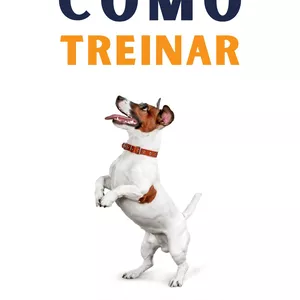Imagem de capa para o Ebook Como treinar seu pet