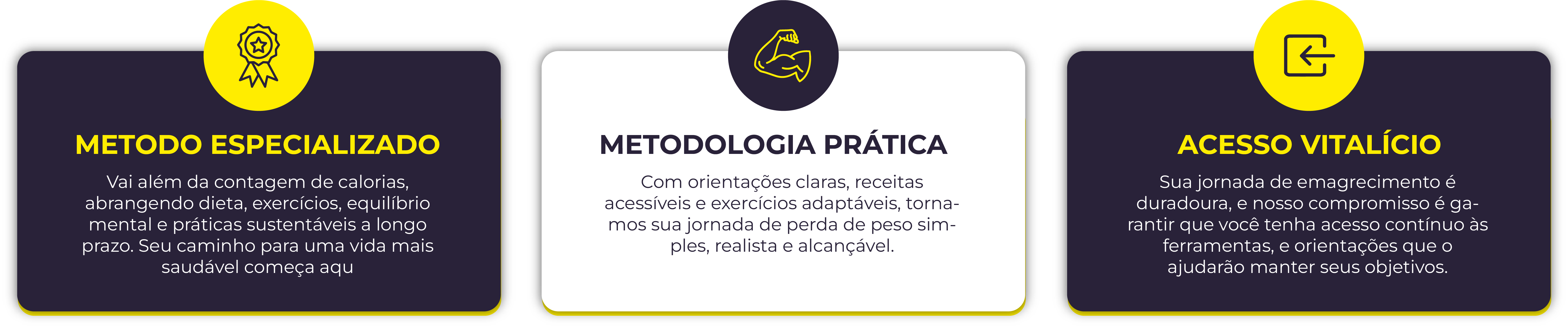 O guia definitivo para o emagrecimento — imagem 2