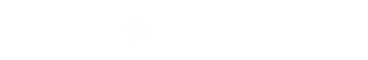 Transformerpreneur