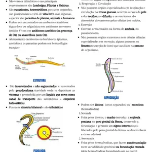 Imagem de capa para o Ebook Resumo - Nematelmintos e verminoses 
