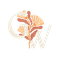Golden Wellness LLC
