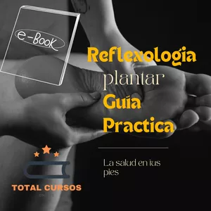 Imagen de portada para Ebook Reflexología plantar Guía Practica 