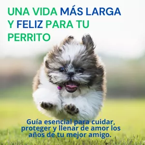 Imagen de portada para Ebook UNA VIDA MÁS LARGA Y FELIZ PARA TU PERRITO