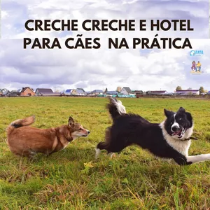 Imagem de capa para o Ebook CRECHE E HOTEL PARA CAES NA PRÁTICA