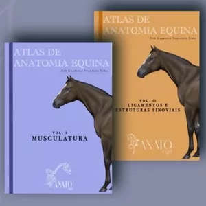 Imagem de capa para o Ebook COMBO VOL I E II - MUSCULATURA - ESTRUTURAS SINOVIAIS E LIGAMENTOS