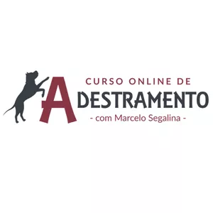 Imagem de capa para o Curso online Curso Online de ADESTRAMENTO com Marcelo Segalina