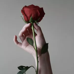 Imagen de portada para Ebook Guía completa para la poda perfecta de rosales