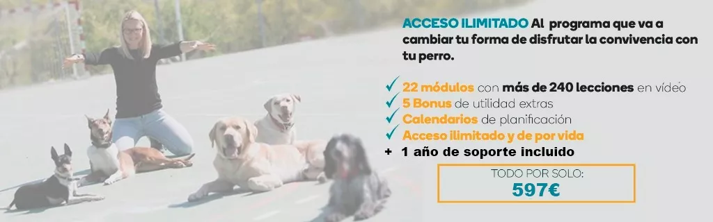 Programa 360º+ 1 Año de Soporte