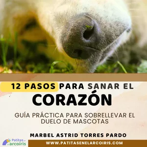 Imagen de portada para Ebook 12 pasos para sanar el corazón. Guía práctica para sobrellevar el duelo de mascotas.
